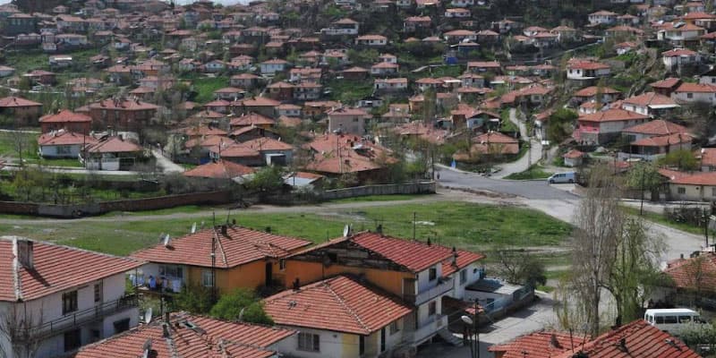 Örnek Hurdacı